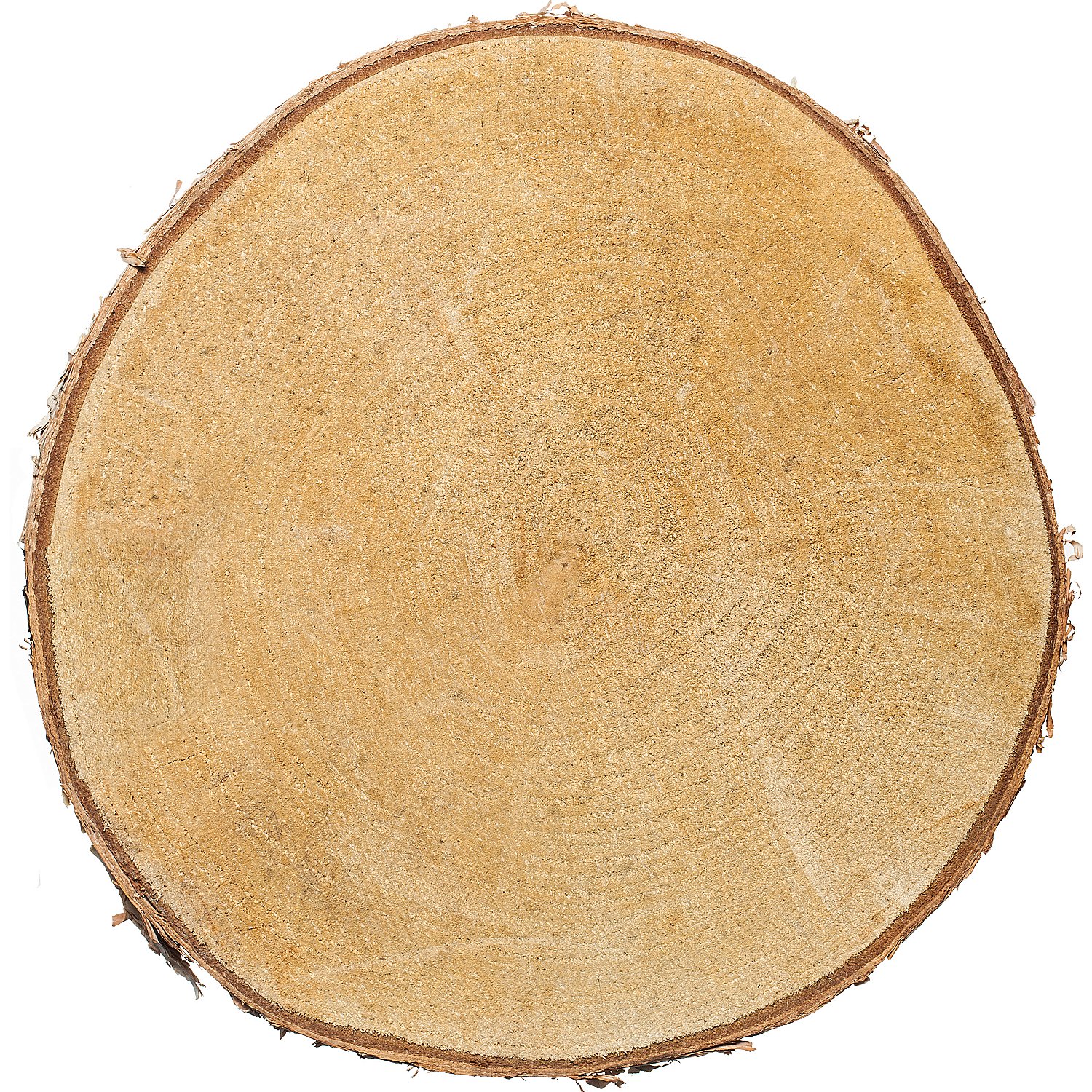 Birkenscheibe, 19–24 cm Ø