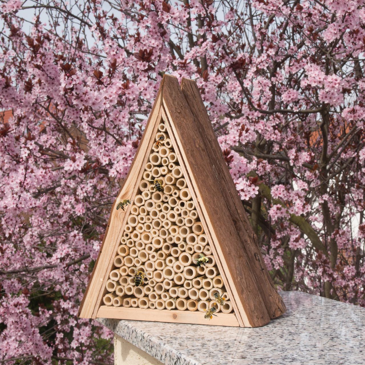Gardigo Bienenhotel