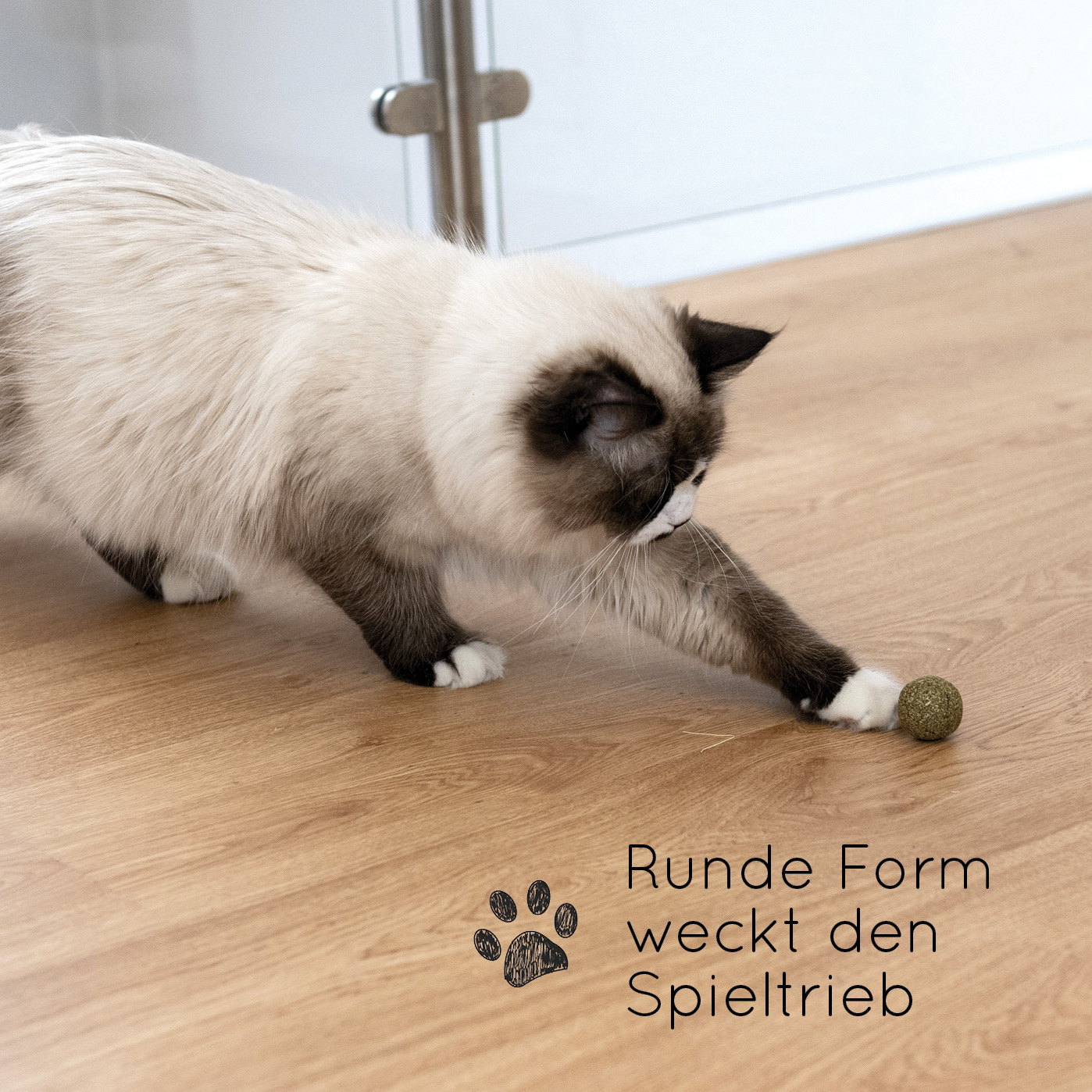 KaraLuna Baldrian & Catnipspielzeug KaraLuna Katzenminze Bälle 3 Stk.