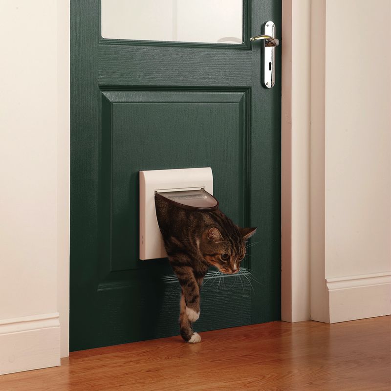 PetSafe Staywell Classic zu TOP-Preisen