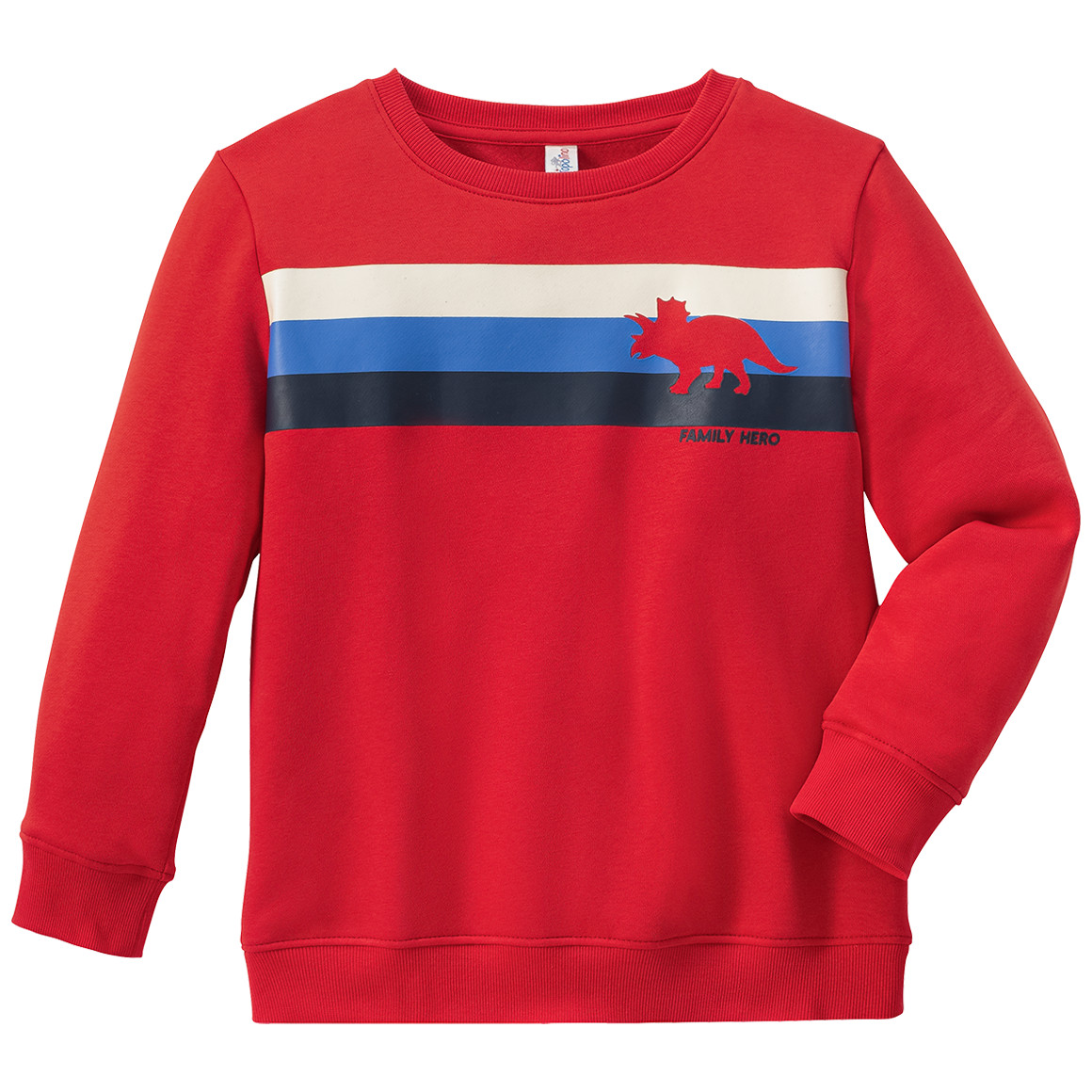 Jungen Sweatshirt mit Dino-Motiv