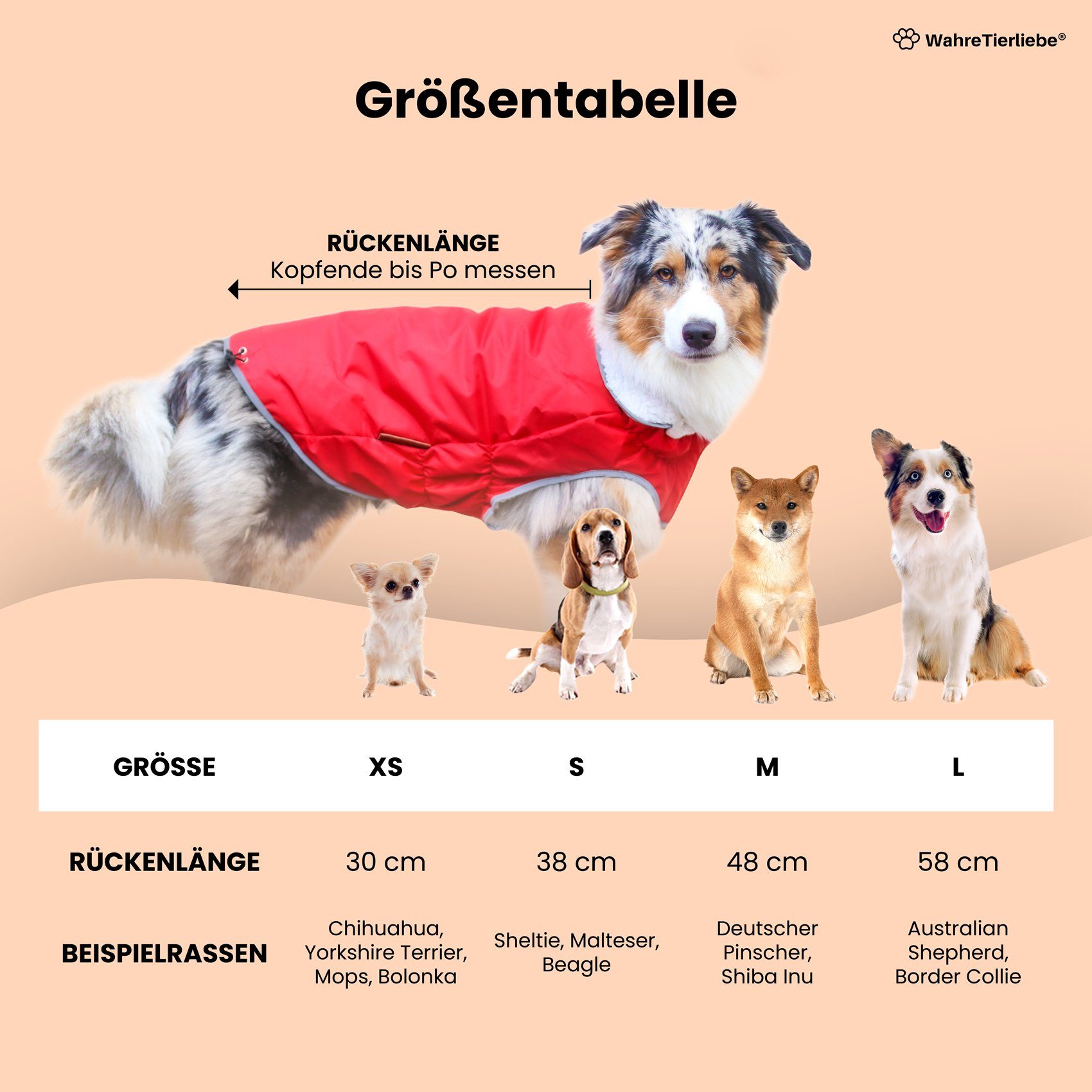 Wahre Tierliebe Hundejacke Premium Hunde Winterjacke, atmungsaktiver Mantel, Kälteschutz -25 Grad, Verschiedene Größen und Farben, extra warm dank fleece Füllung