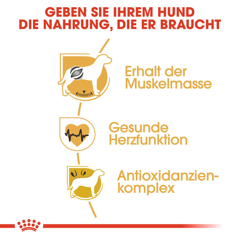 ROYAL CANIN Hundetrockenfutter ROYAL CANIN Boxer Adult 2x12 kg
