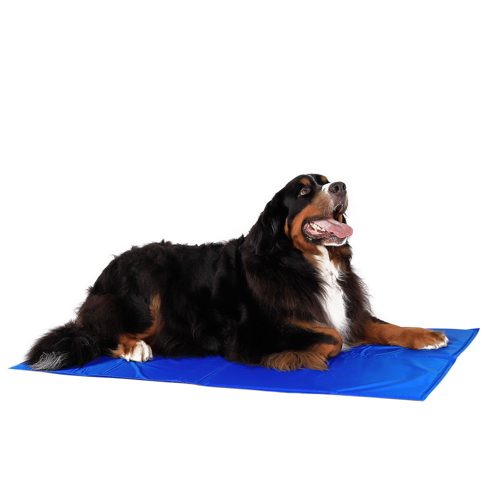 Lionto Hundematten Lionto Selbstkühlende Liegematte für Haustiere XL