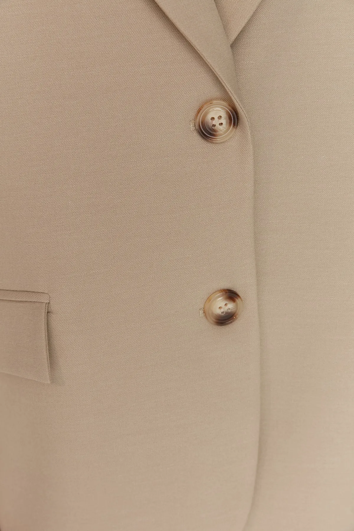 Trendyol Collection  Nerzfarbene, gefütterte, gewebte Blazerjacke TWOAW23BC00132