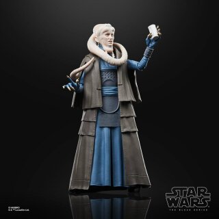 Star Wars Episode VI 40th Anniversary Black Series Actionfigur: Bib Fortuna