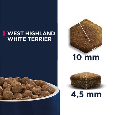 Eukanuba Adult Breed Specific West Highland White Terrier