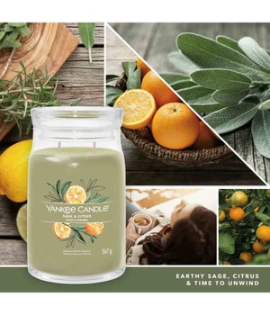 Yankee Candle Sage & Citrus Duftkerze-368 g