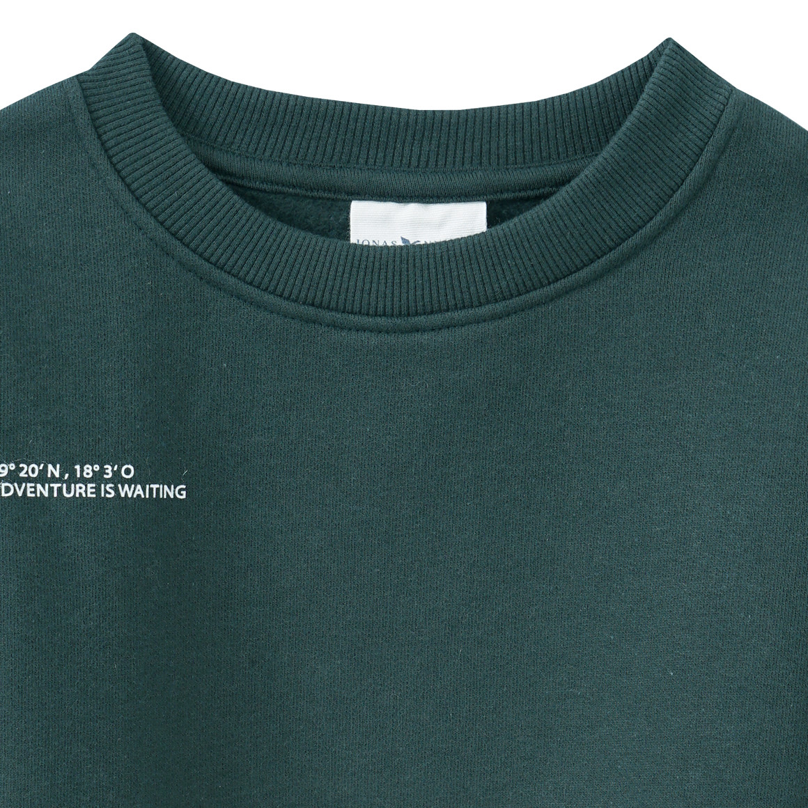 Kinder Sweatshirt mit kleinem Print