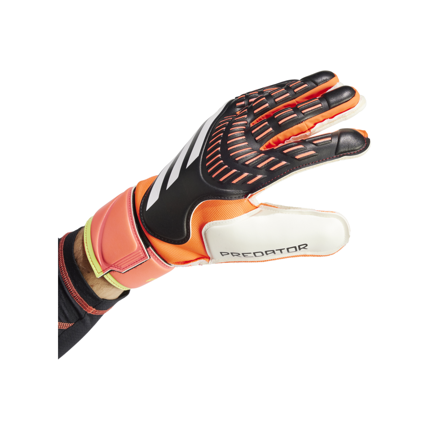 adidas Predator Match Torwarthandschuhe