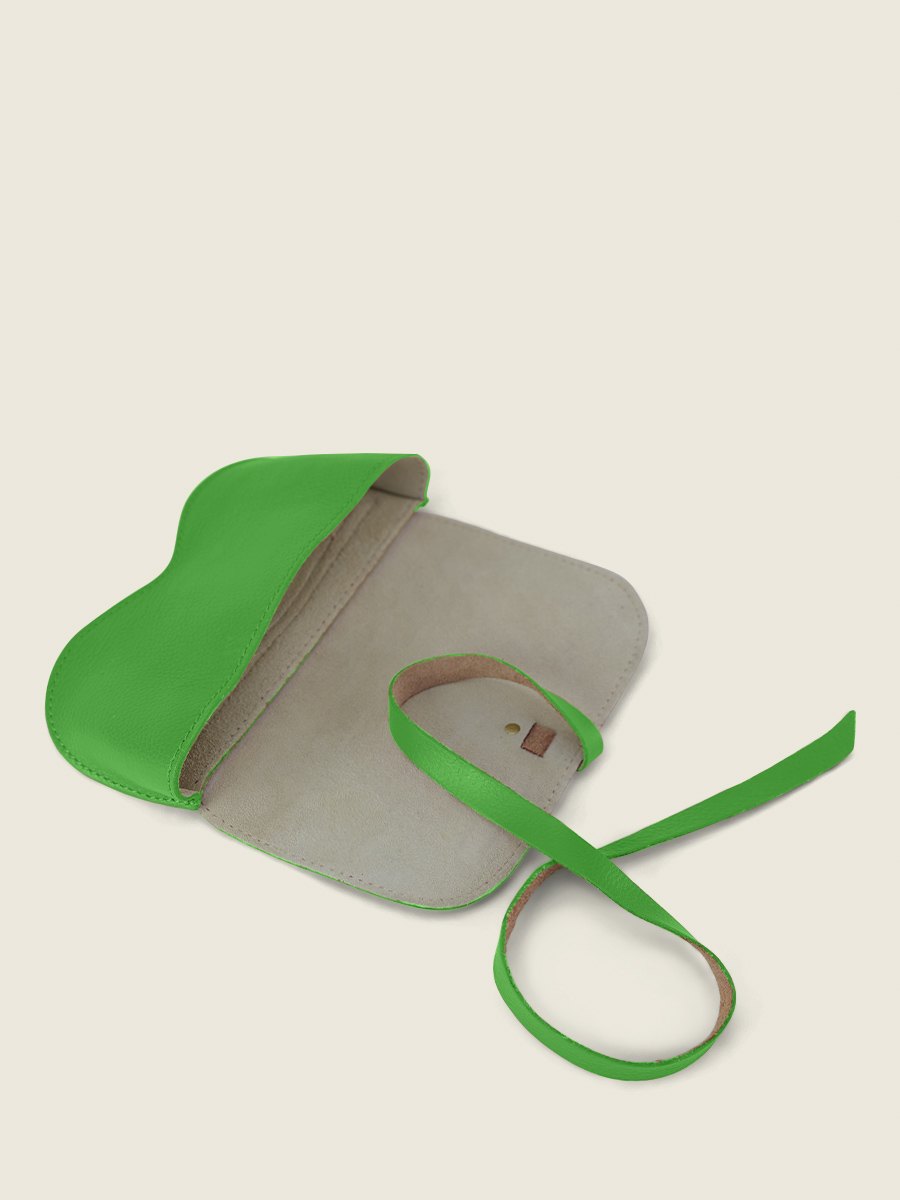 L'Étui à Lunettes Sorbet - Kiwi