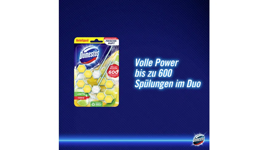 Domestos WC Stein Power 5 Limette Duo 110 g