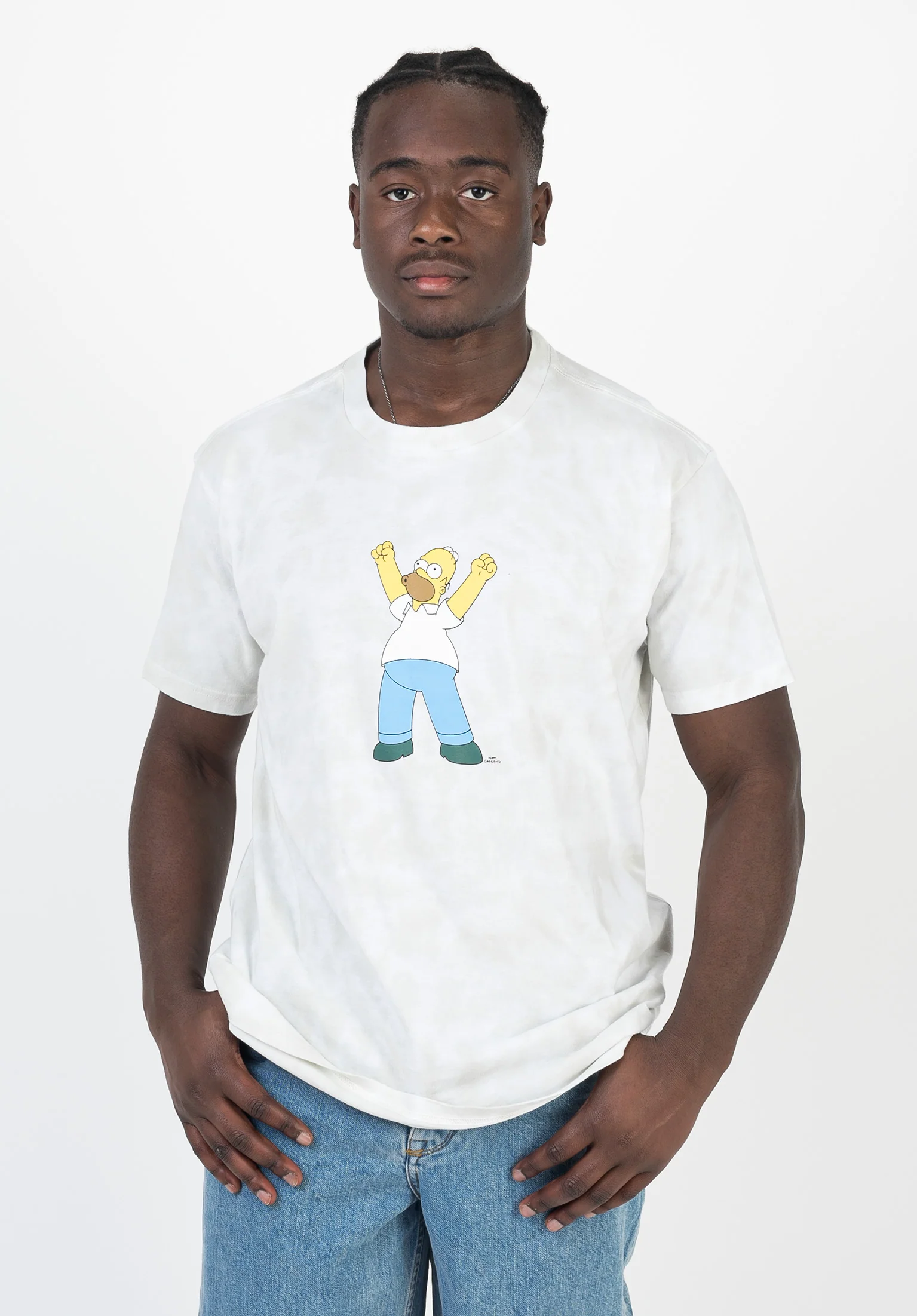 x Simspons Homer