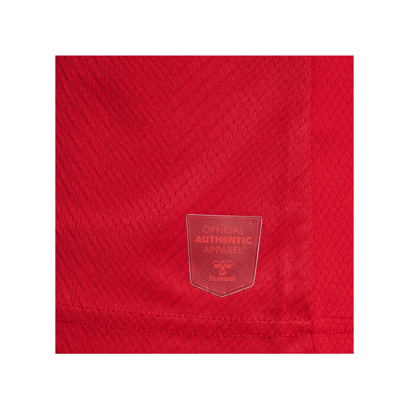Hummel Dänemark Trikot langarm Home WM 2022 Kids Rot F3365