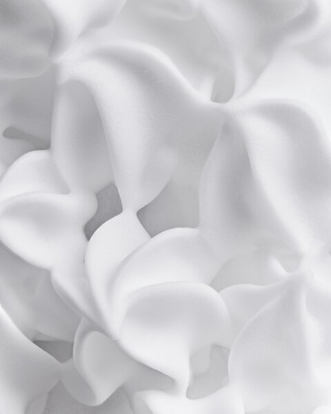 Les Eaux Primordiales Le Soin Primordial Cleansing Chantilly Reinigungsschaum