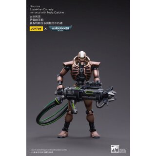 Warhammer 40k Actionfigur: Necrons - Szarekhan Dynasty Immortals with Tesla Carbine (2er-Pack)