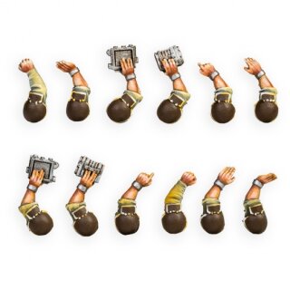 Imperial Guard Commander Arms (12)