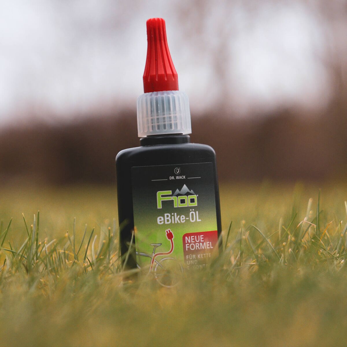 Dr. Wack F100 eBike Öl Spray 100ml