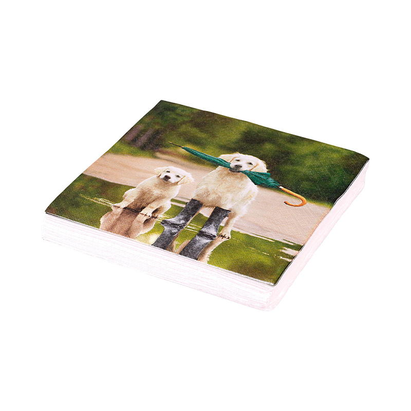 Vie Eco Servietter 20-pk 33x33 cm Høstsesong