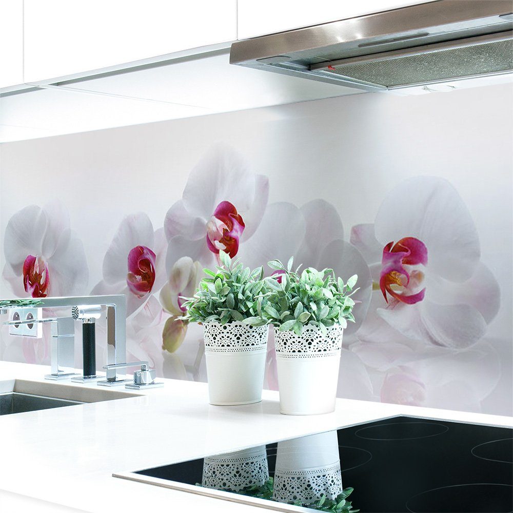 DRUCK-EXPERT Küchenrückwand Küchenrückwand Orchidee Premium Hart-PVC 0,4 mm selbstklebend