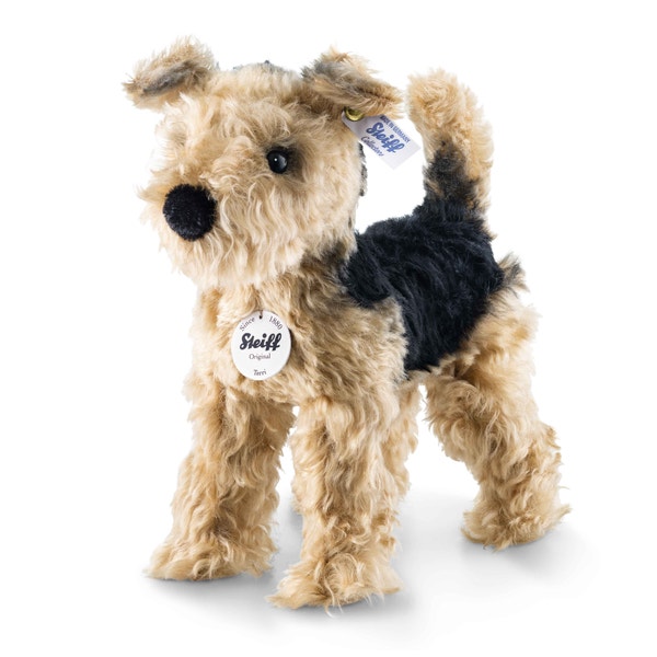 Terri Welsh-Terrier, 26 cm, hellbraun