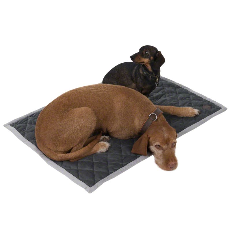 Kuscheldecke Velvet granit zu TOP-Preisen