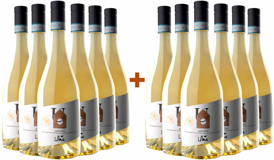 6+6 Pecorino Abruzzo DOC trocken Bio - Uma Casanatura