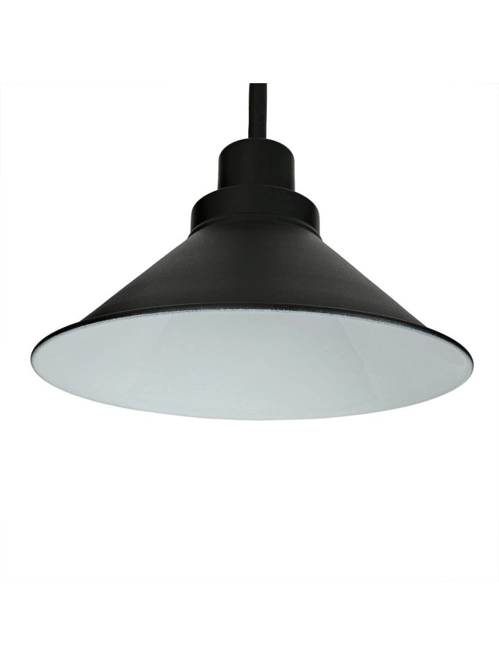 Licht-Erlebnisse Wandlampe in Schwarz günstig kaufen onesize