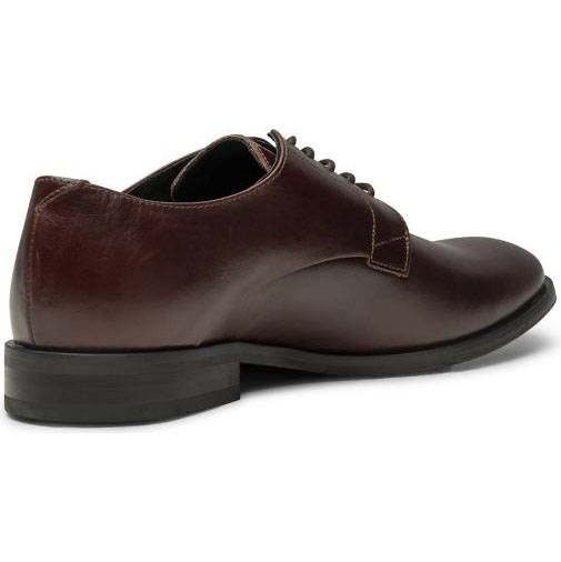 SHOE THE BEAR Business-Schnürer
