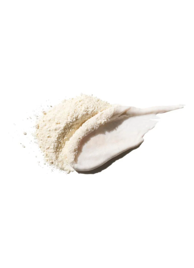 CLINIQUE Fresh Pressed Renewing Powder Cleanser -puhdistusaine