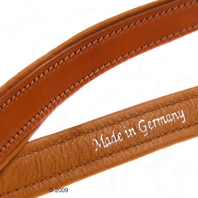 Sparset Heim Lederhalsband & Vorführleine Buffalo, cognac % bei bitiba.de