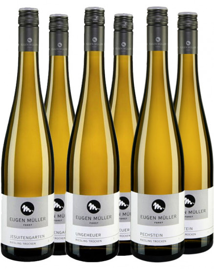 Toplagen-Paket - Weingut Eugen Müller