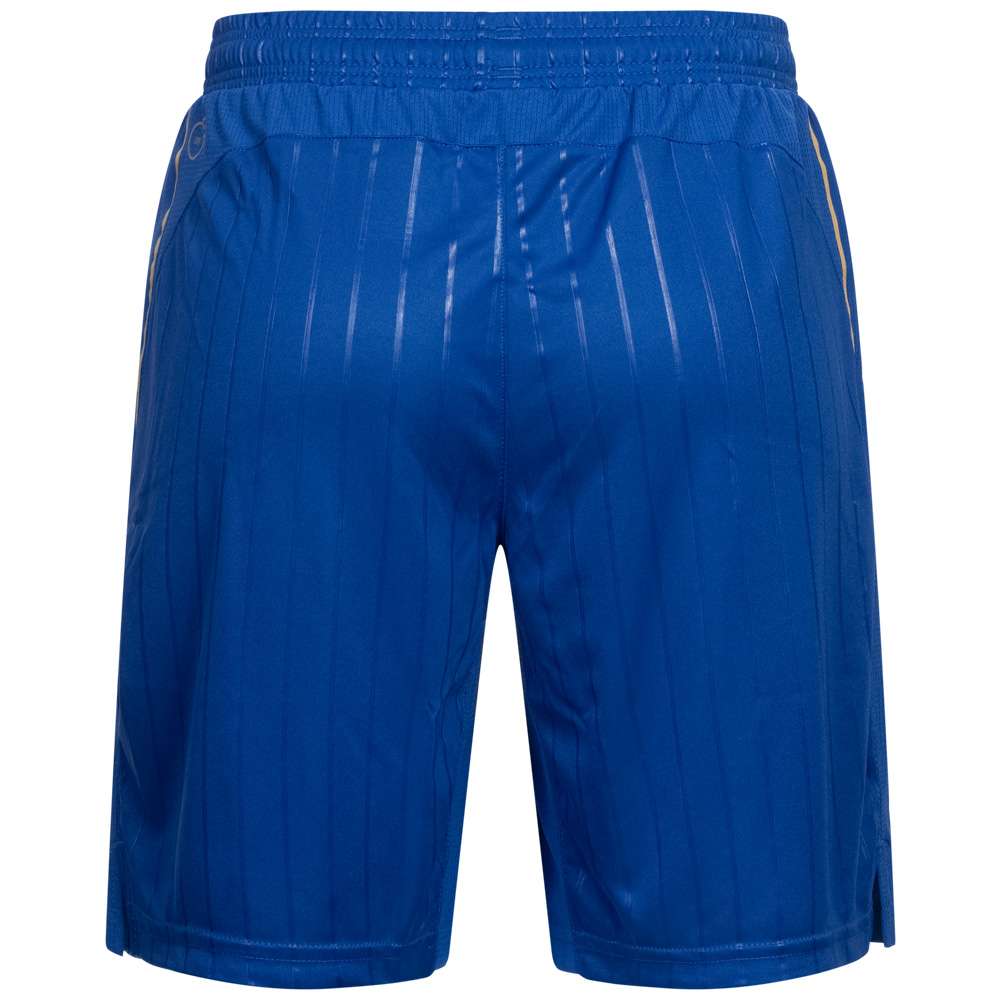Italien FIGC PUMA Promo Damen Shorts 748818-01