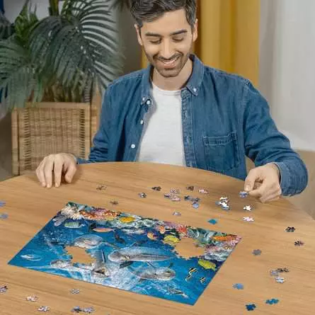 Puzzle 500 Teile - Delfine im Korallenriff