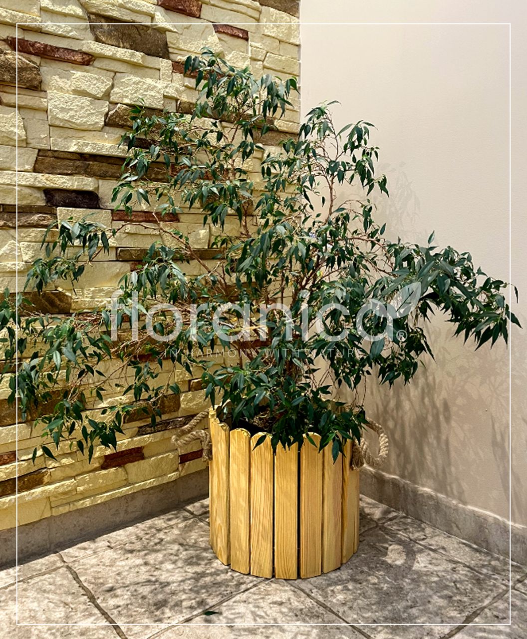 Pemicont Floranica Runder Blumentopf aus Holz 33x20cm Natural Imprägniertes Kiefernholz Schutzhülle für Kräuter Blumen Haus- und Gartendekoration Truhe Für den Innen- und Außenbereich