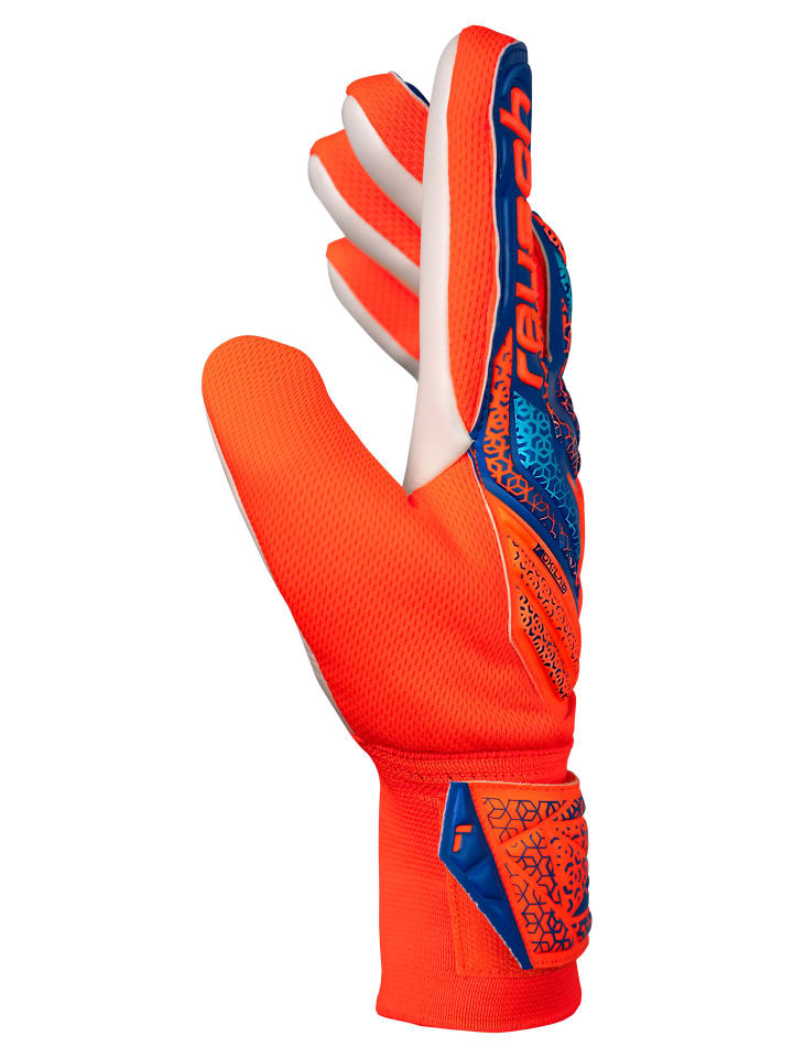 Reusch Torwarthandschuhe Attrakt Starter Solid Junior in 2290 shocking orange/blue günstig kaufen