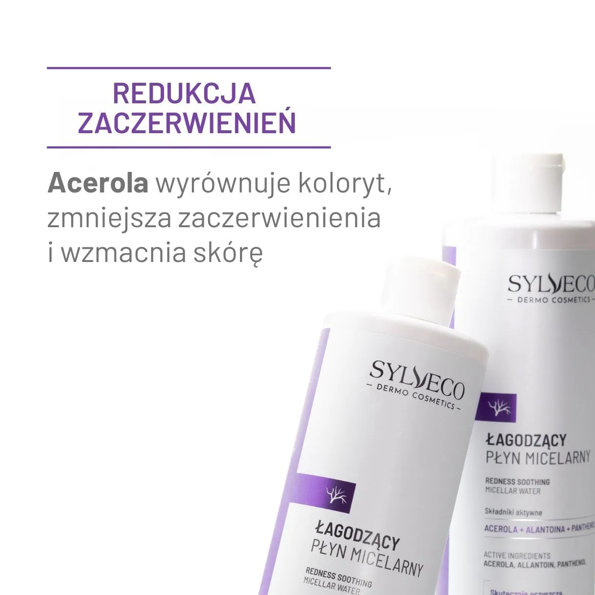 Sylveco Dermo Καταπραϋντικό Μικελιακό Υγρό