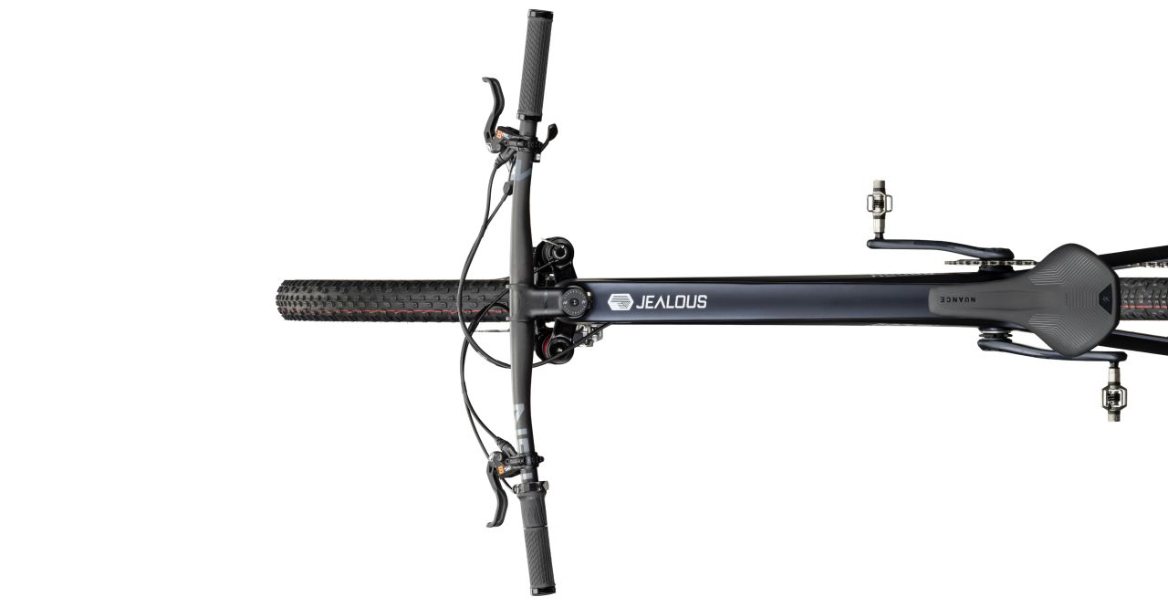 Radon Jealous 10.0 kaufen | Bike-Discount