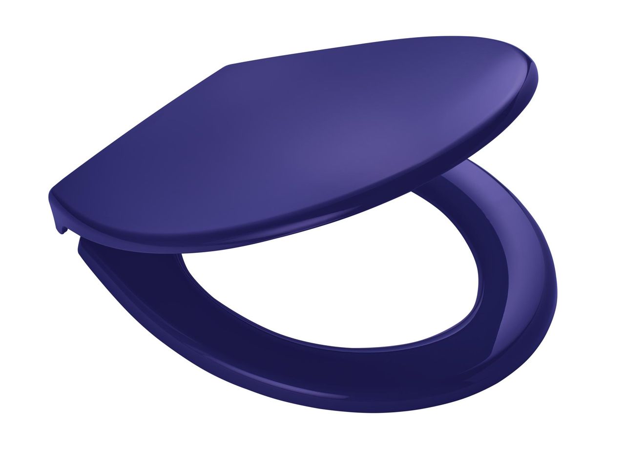 Ridder WC-Sitz Miami, ultramarinblau, mit Soft-Close, Polypropylen