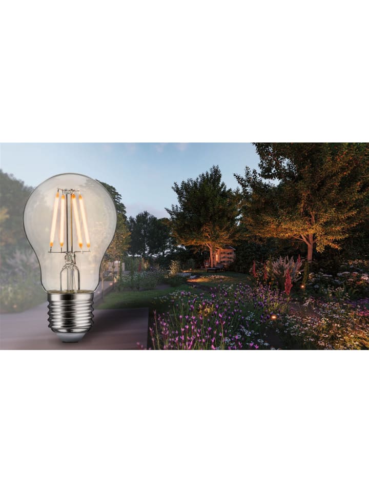 paulmann Filament 230V LED Birne insektenfreundlich F günstig kaufen onesize