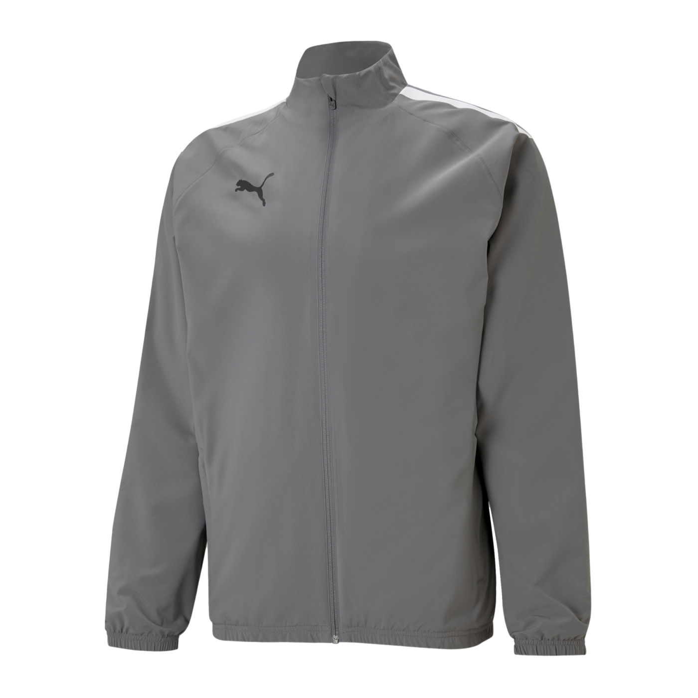 PUMA teamLIGA Sideline Jacke Kids Grau Weiss F13