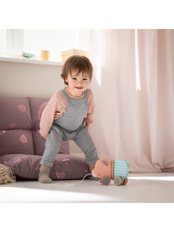 howa Baby Spielzeug Nachziehtier Ziehtier Schweinchen 