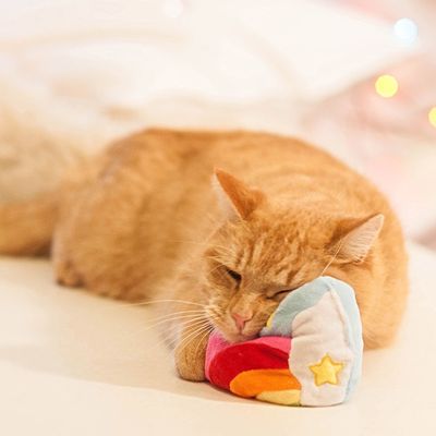 Aumüller Katzenspielzeug Regenbogenherz