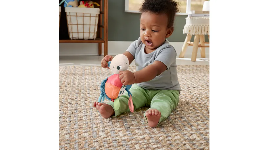 Fisher-Price Flotte Schildkröte
