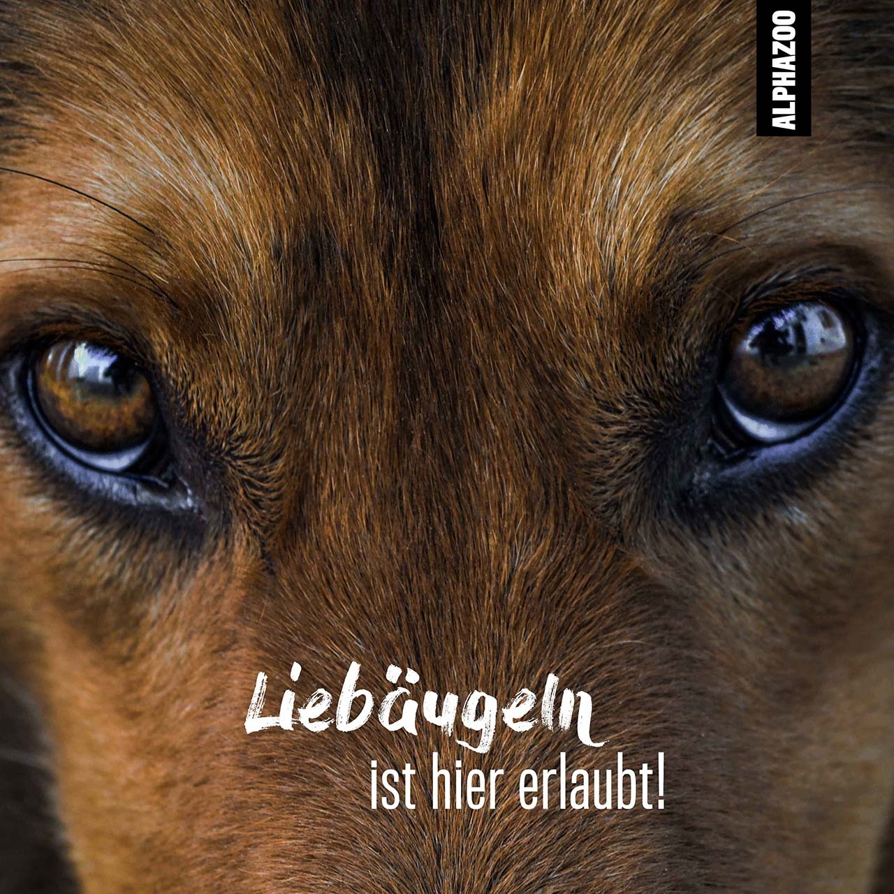 ALPHAZOO Augen- & Ohrenpflege ALPHAZOO Sanfte Augenpflege 200ml - Durchblick für Hunde, Katzen, Haus- und Hoftiere