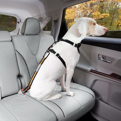 Kurgo Hundegurt fürs Auto, orange