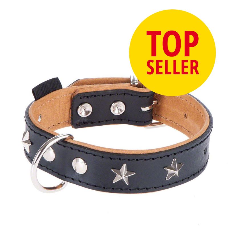 Heim Lederhalsband Stars zu TOP-Preisen