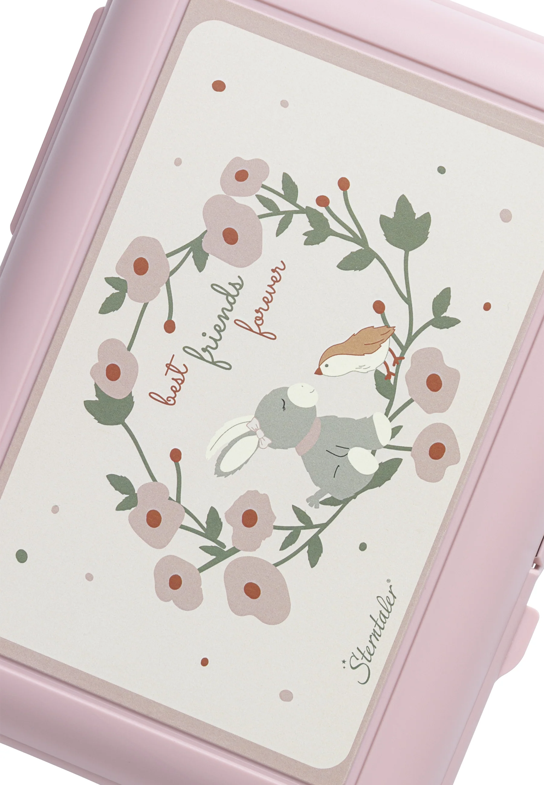 Kinderbrotdose Esel Emmi Girl in rosa