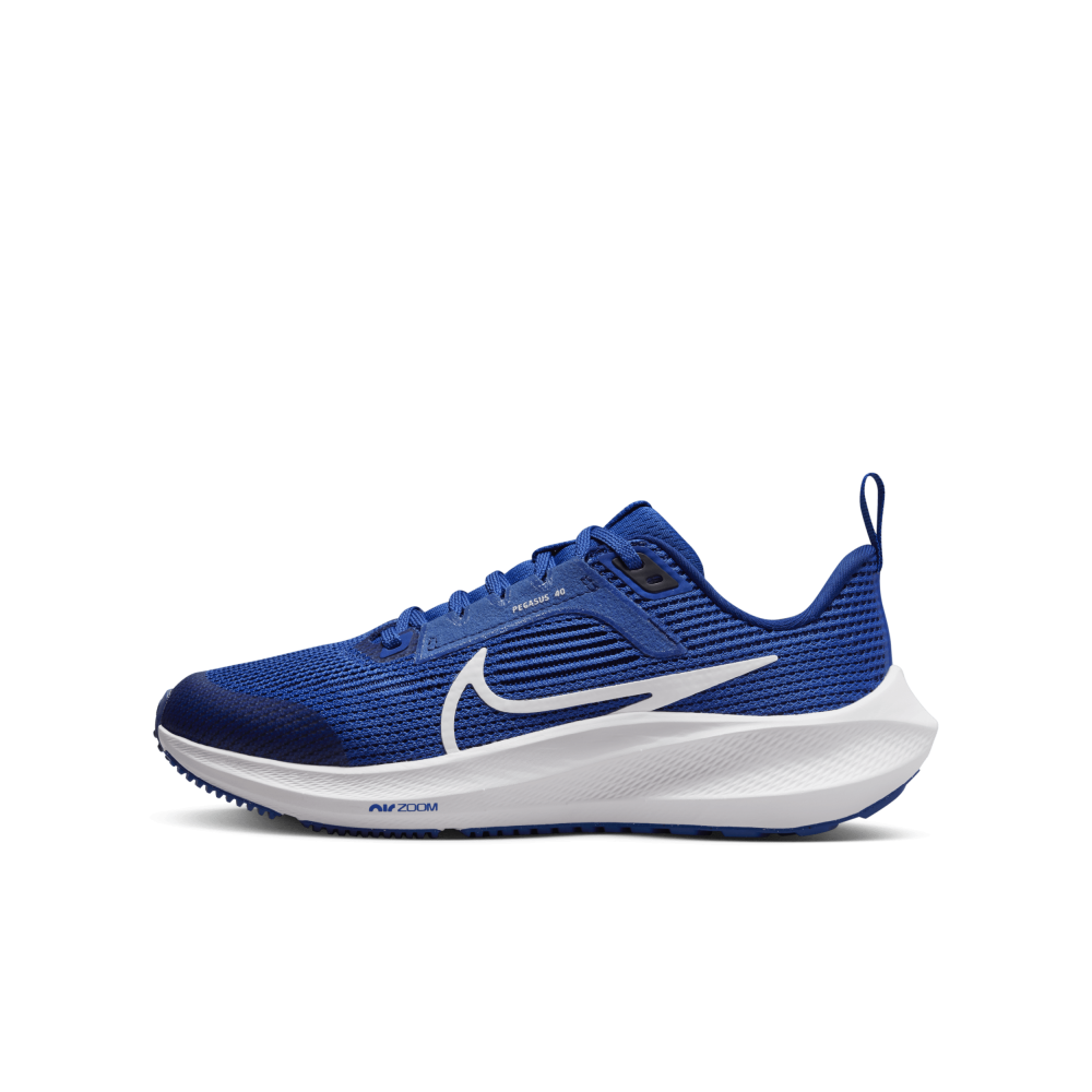 Nike Air Zoom Pegasus 40 DX2498-400 / blau