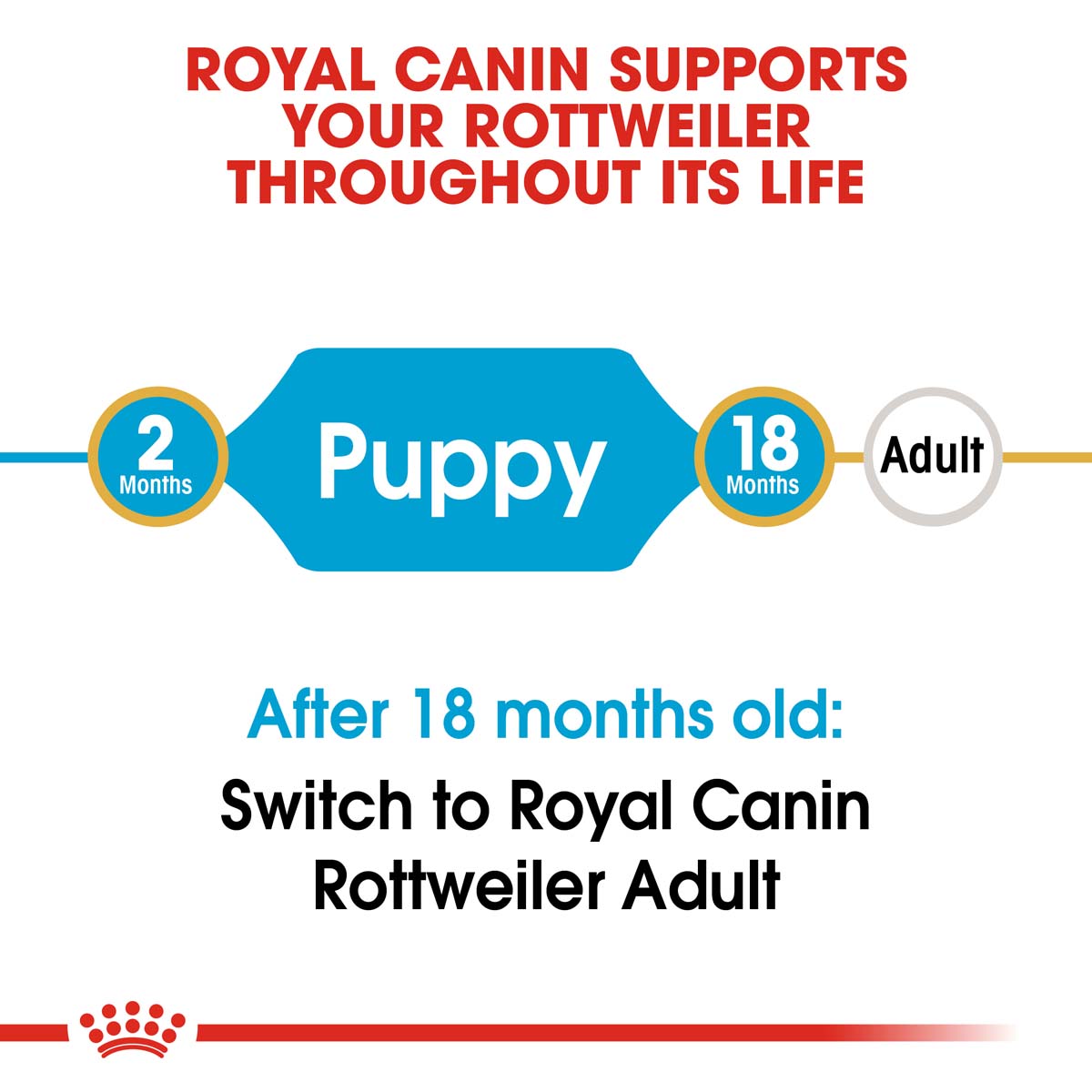 ROYAL CANIN Rottweiler Puppy Welpenfutter trocken bei ZooRoyal